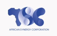 African Synergy Corporation